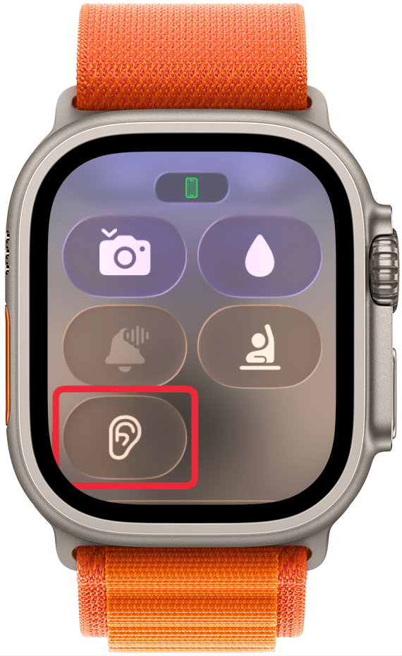 Headphone Volume Icon on Apple Watch