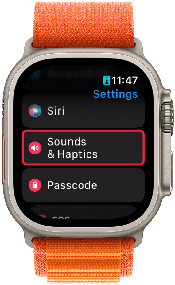 a screenshot of the settings app on apple watch with a red box around sounds & haptics