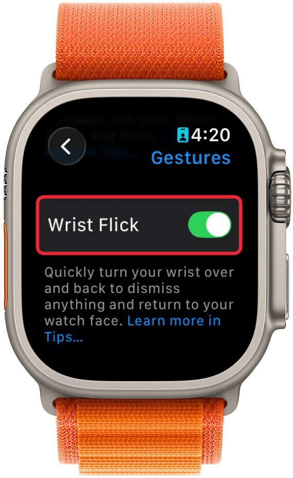a screenshot of apple watch gesture settings with a red box around the wrist flick toggle