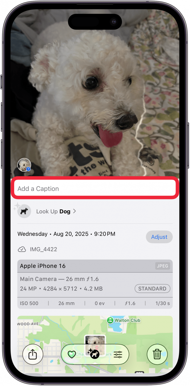 add a caption to your photo