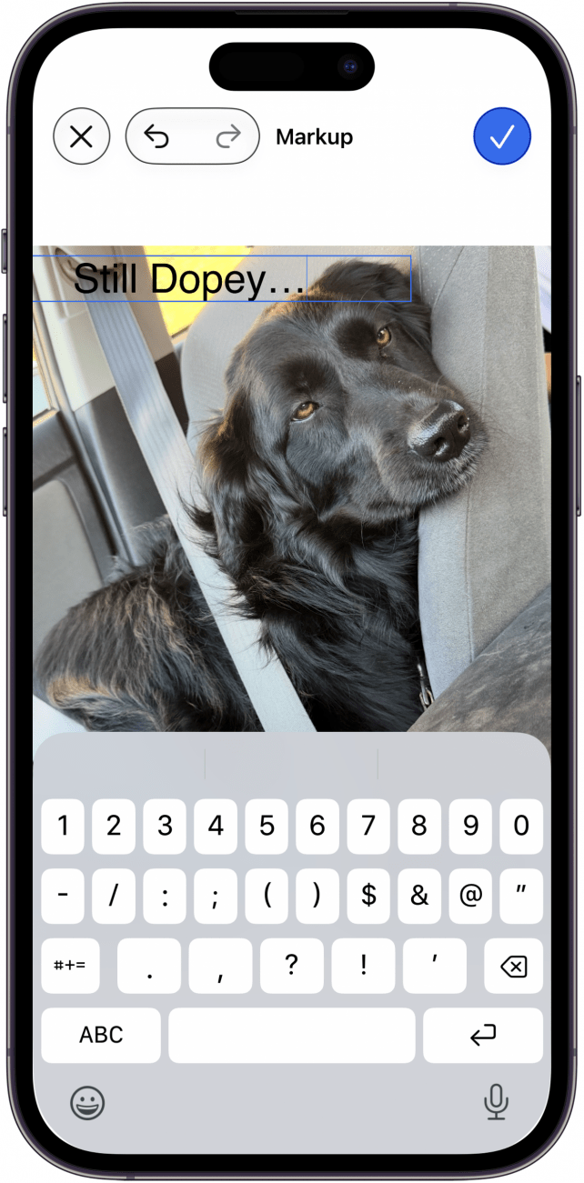 add text with markup