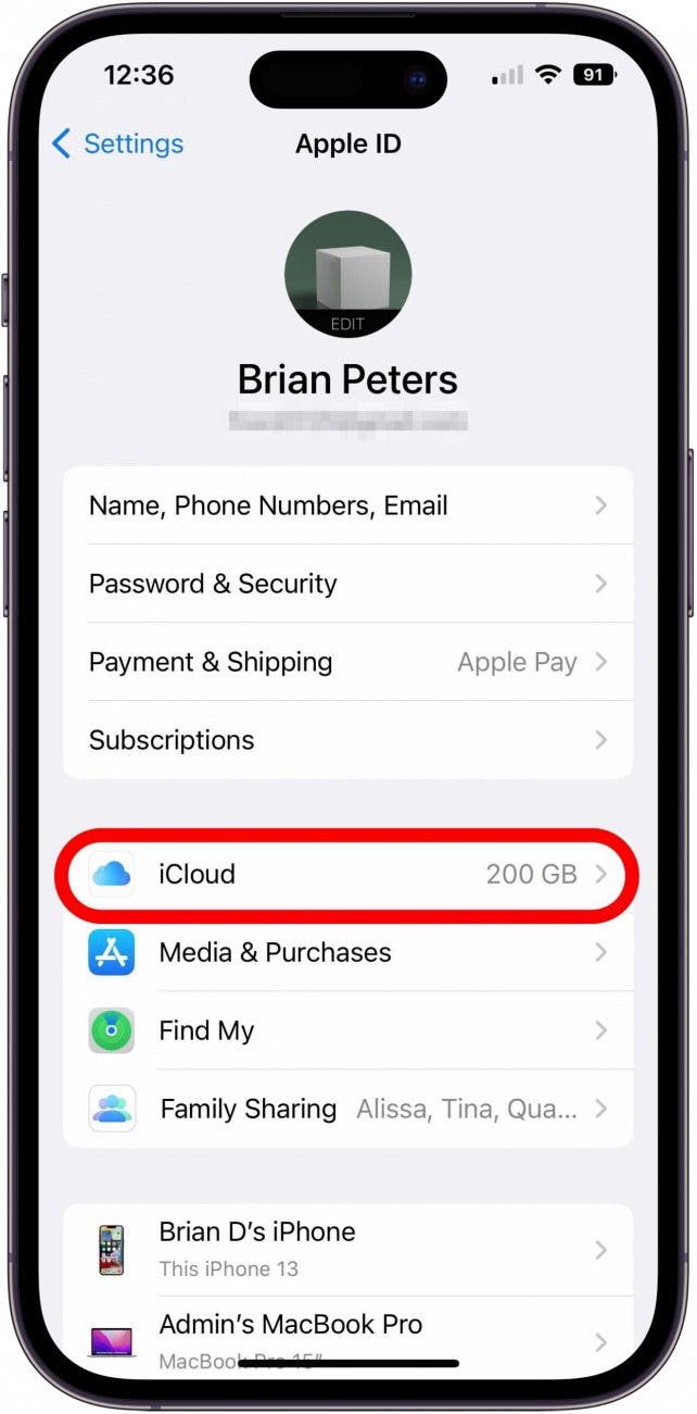 Apple ID Settings screen with iCloud option marked.
