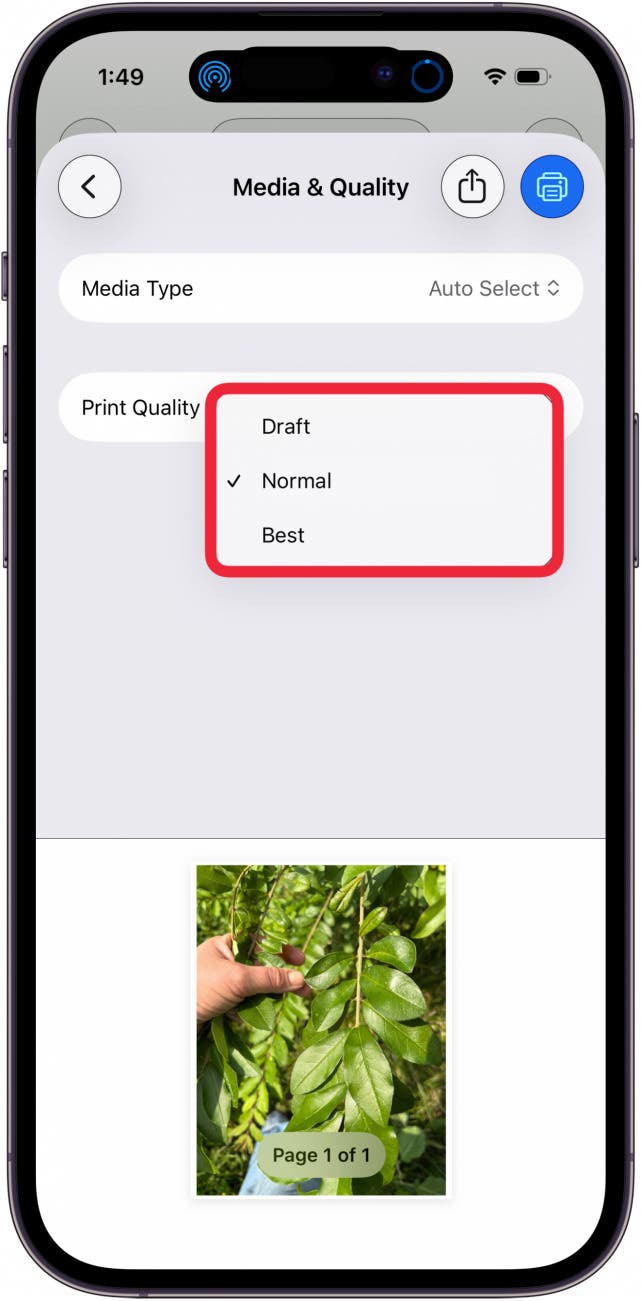 choose photo print quality