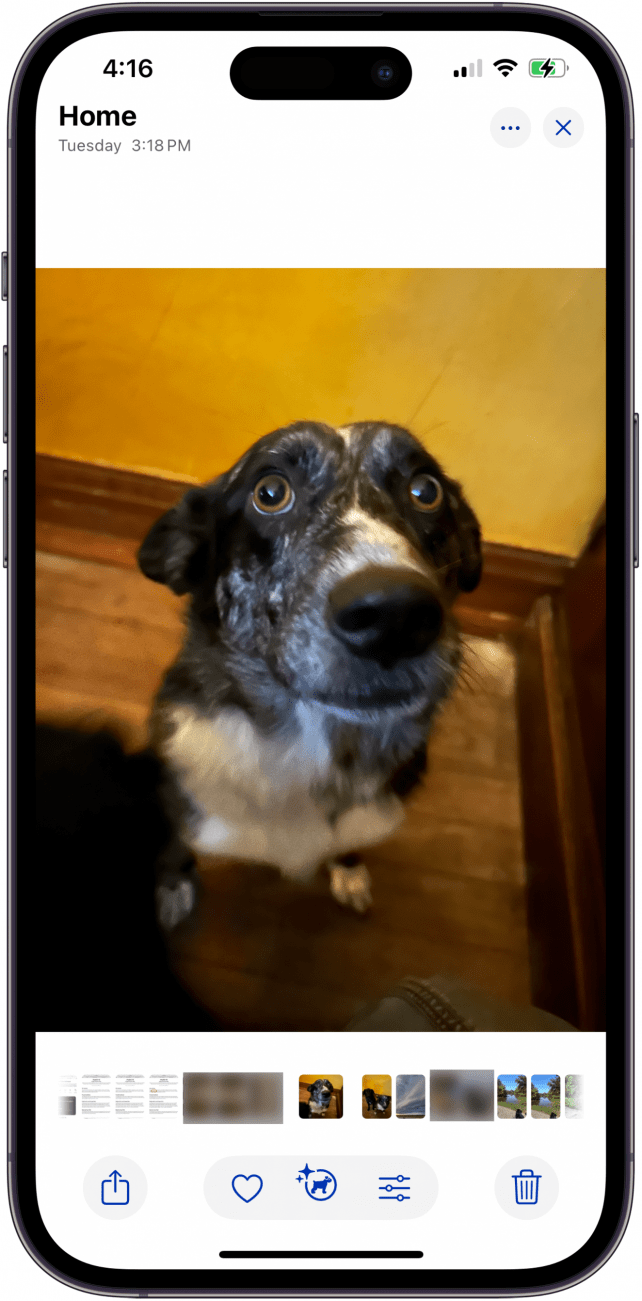 choose photo to remove image from