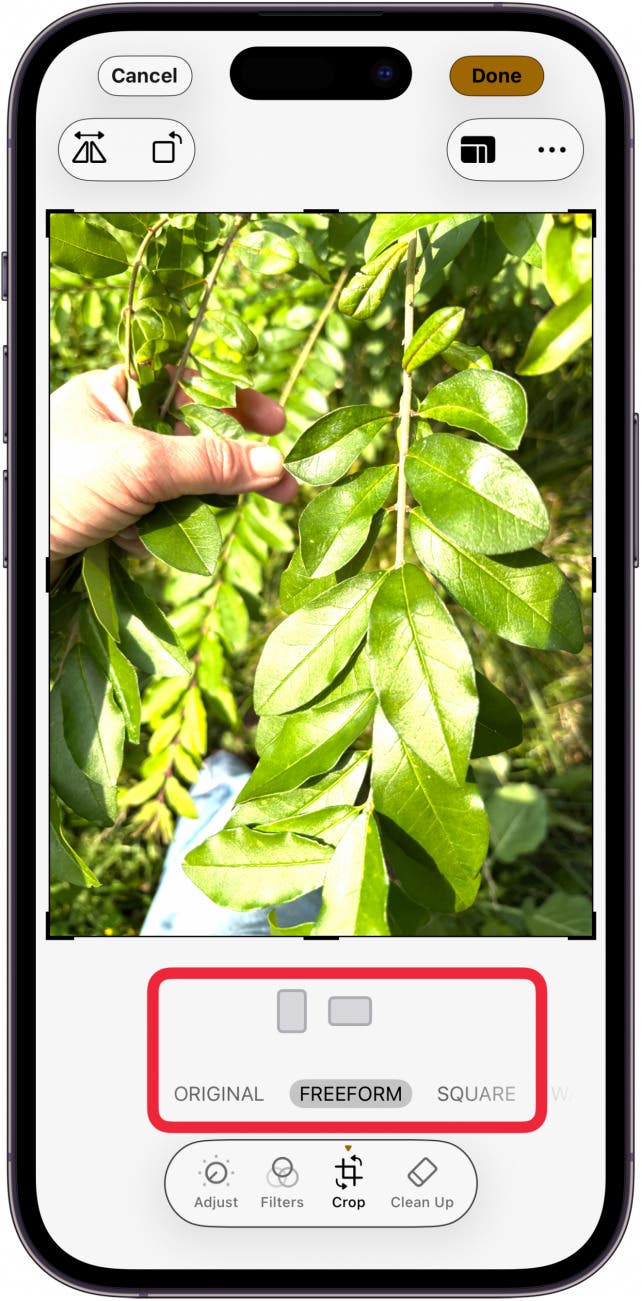 choose portrait or landscape or a cropping option