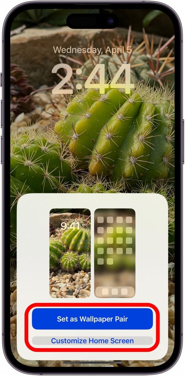 choose set as wallpaper pair or customize home screen choose set as wallpaper pair or customize home screen