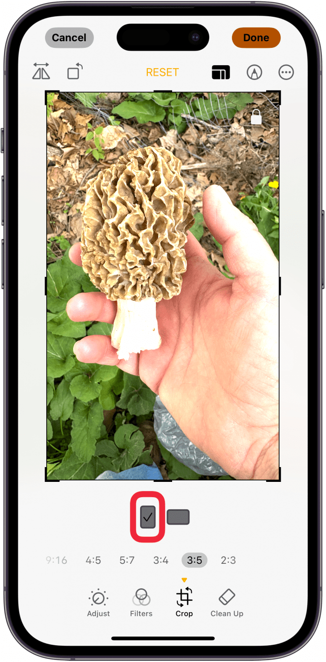 choose vertical or horizontal photo cropping