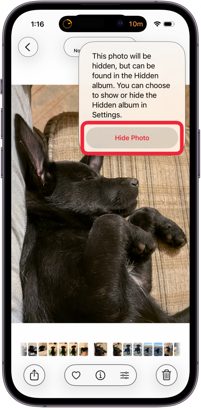 confirm hide photo confirm hide photo
