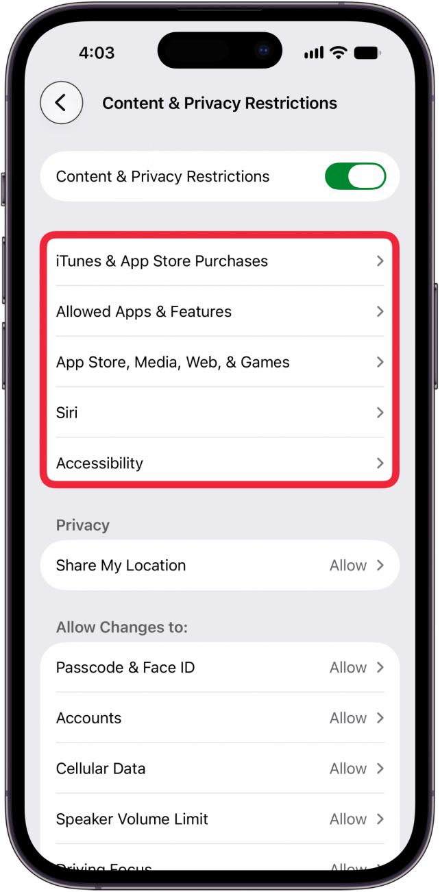 content and privacy restrictions options content and privacy restrictions options
