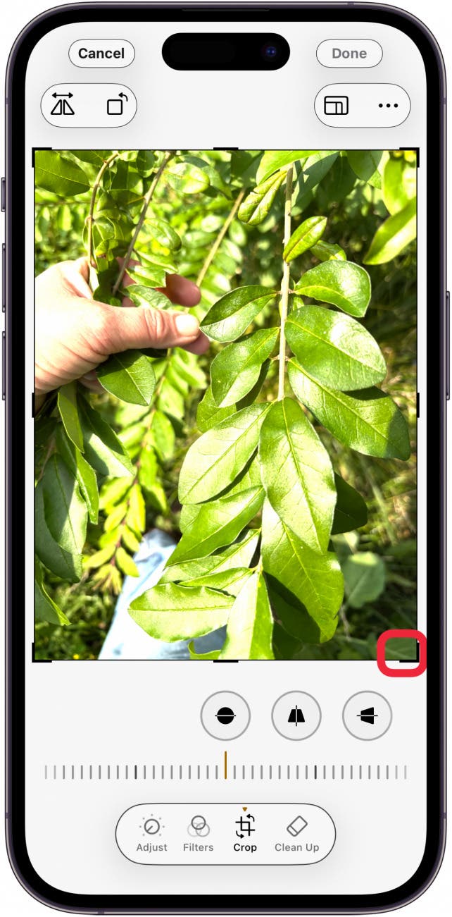 crop photo by dragging corners of photo