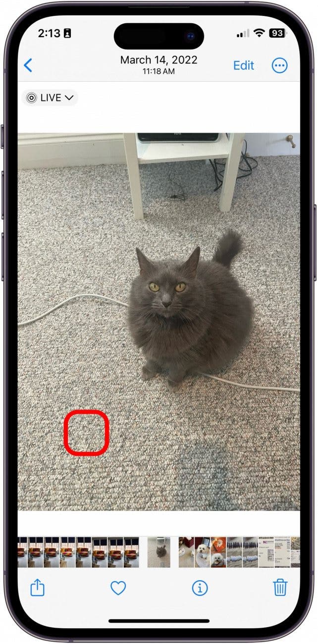 How to use custom photo stickers