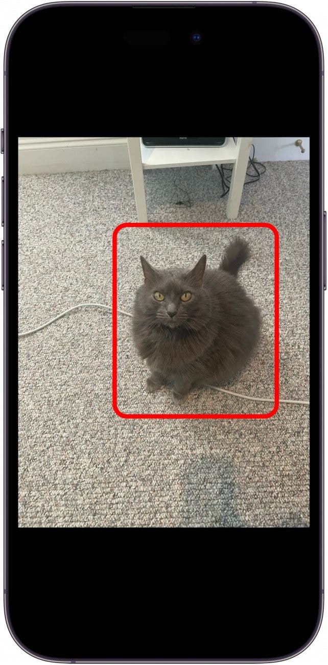 How to Use Custom Photo Stickers