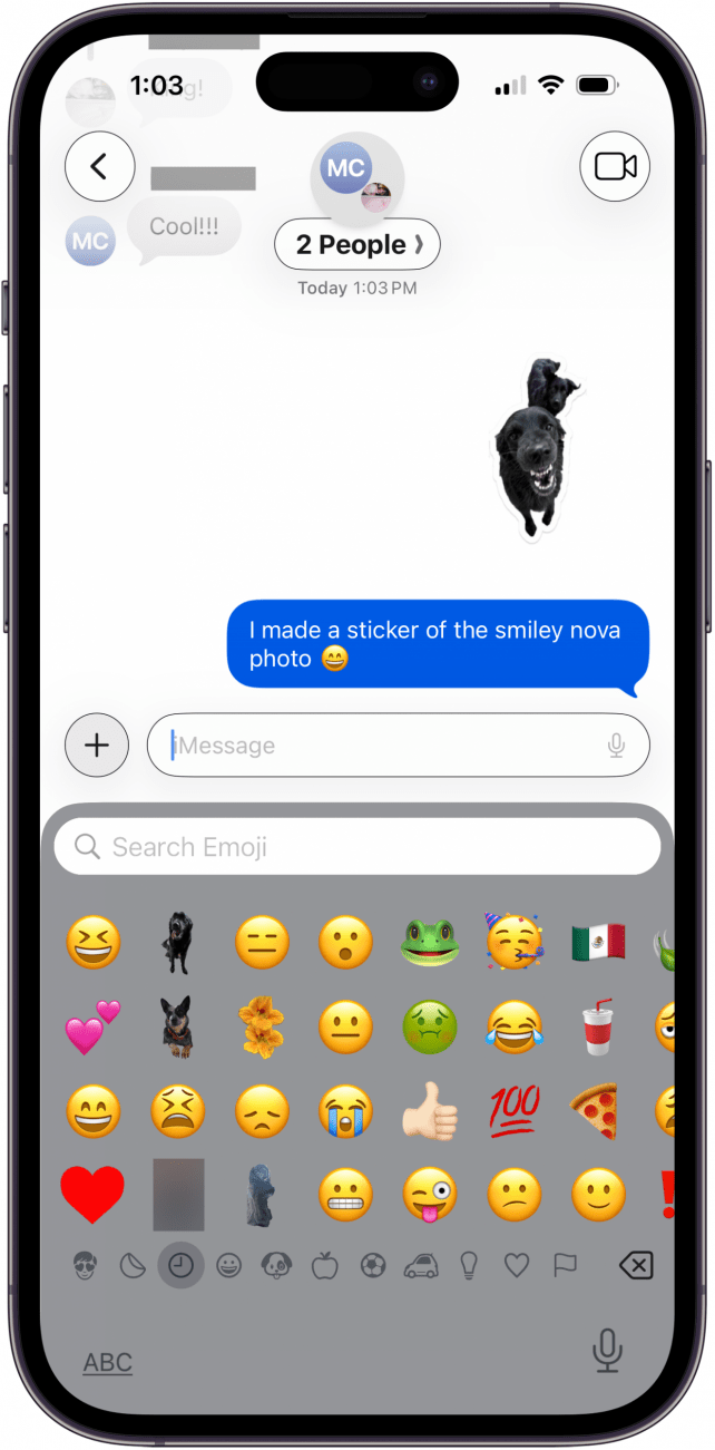 custom sticker sent in messages