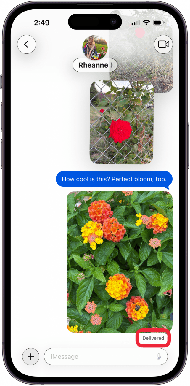 delivered notification under message delivered notification under message