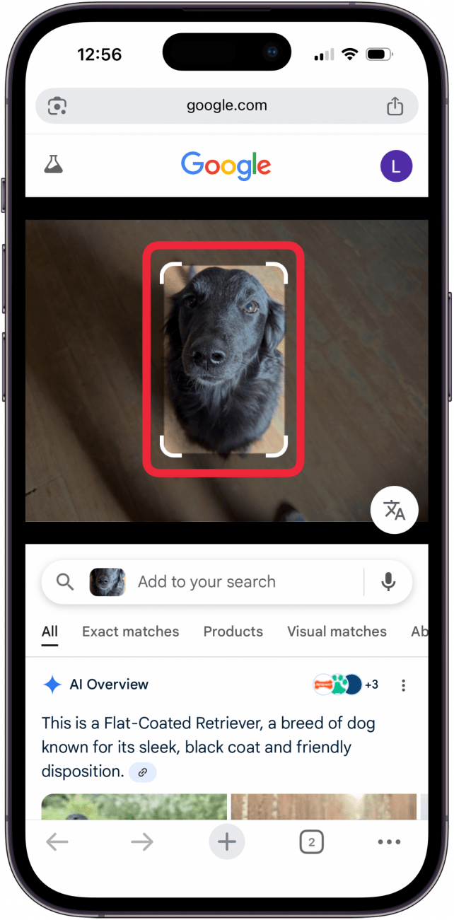 drag white corners to area for google ai to look up