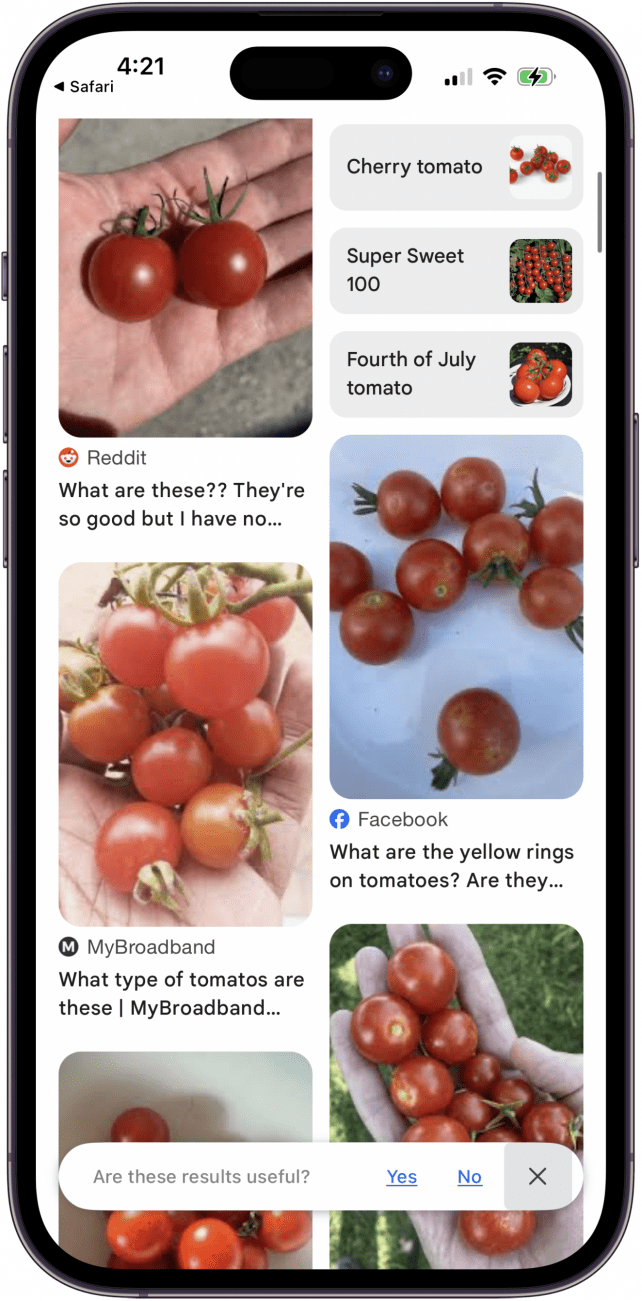 google results for google image search