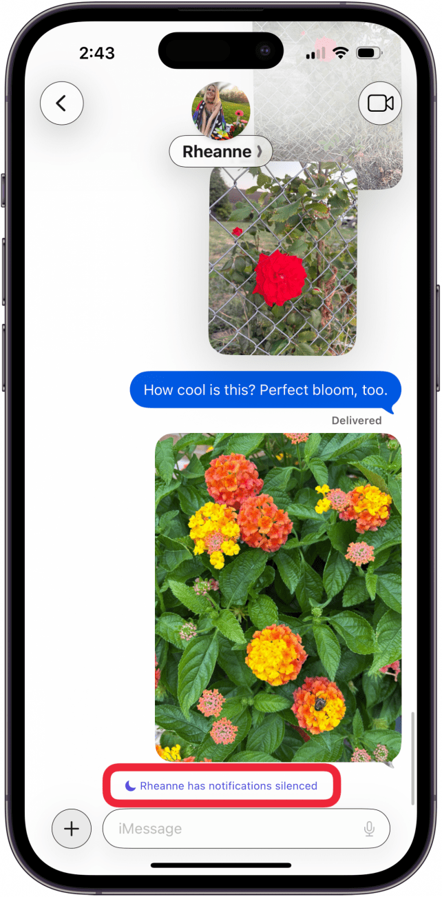 has notifications silenced under message has notifications silenced under message