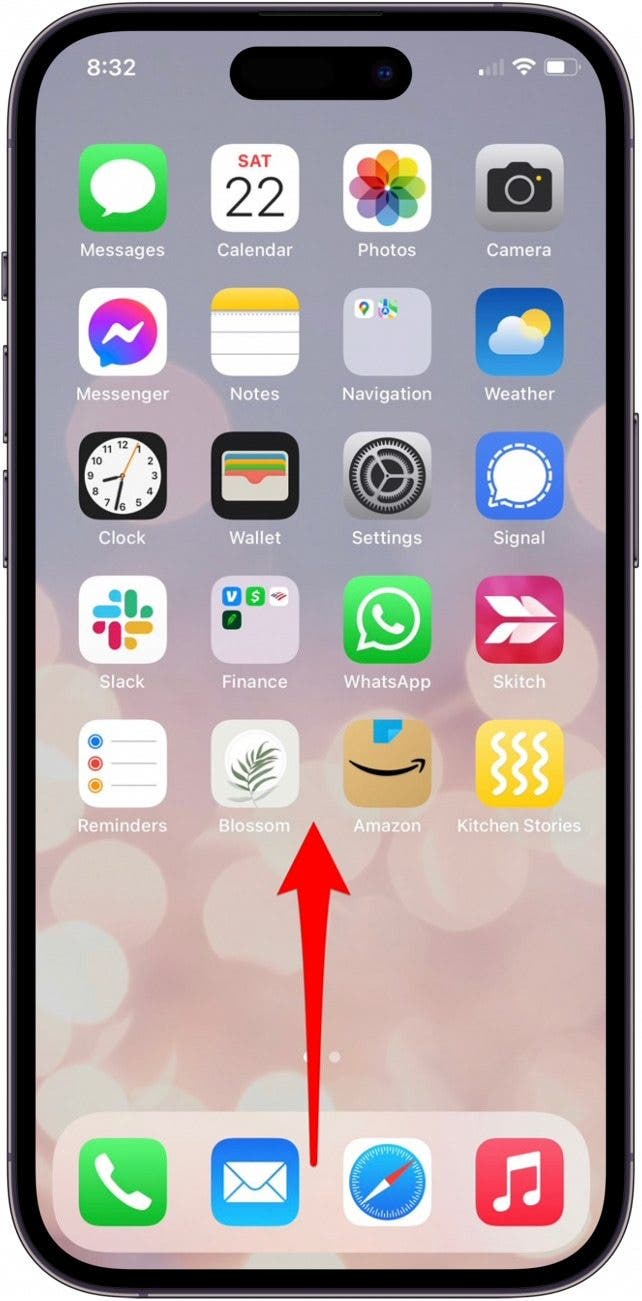 safari iphone back button