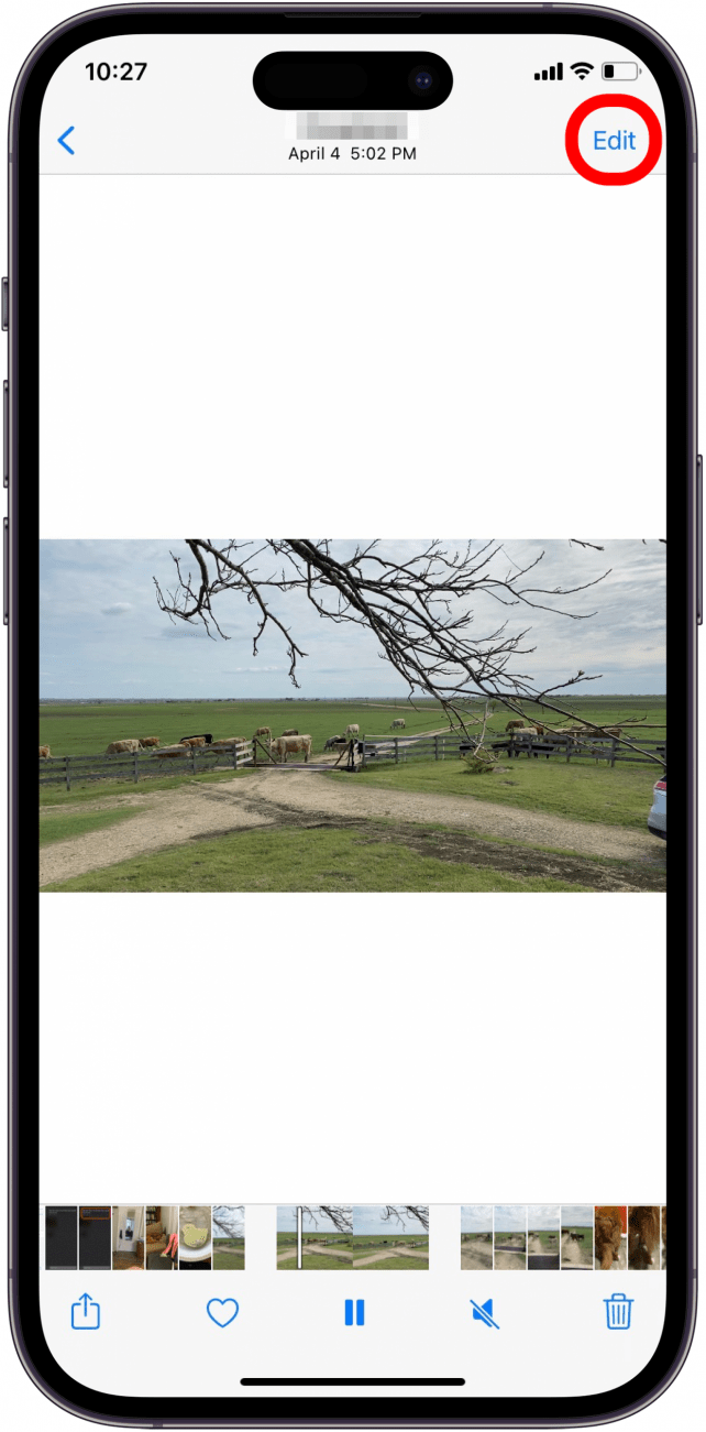 How to Remove Sound from an iPhone Video