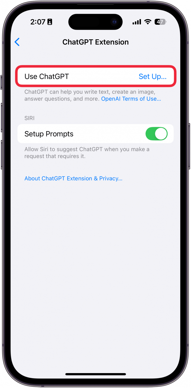 iphone chatgpt settings with a red box around set up