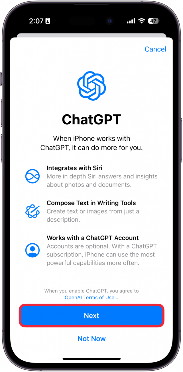 iphone chatgpt setup with a red box around next