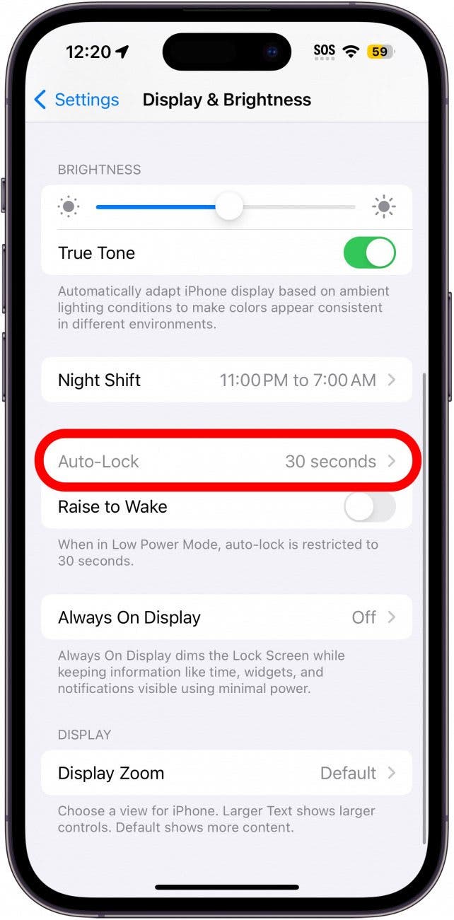 iphone display and brightness settings with a red circle around the auto lock toggle which grayed out and unselectable