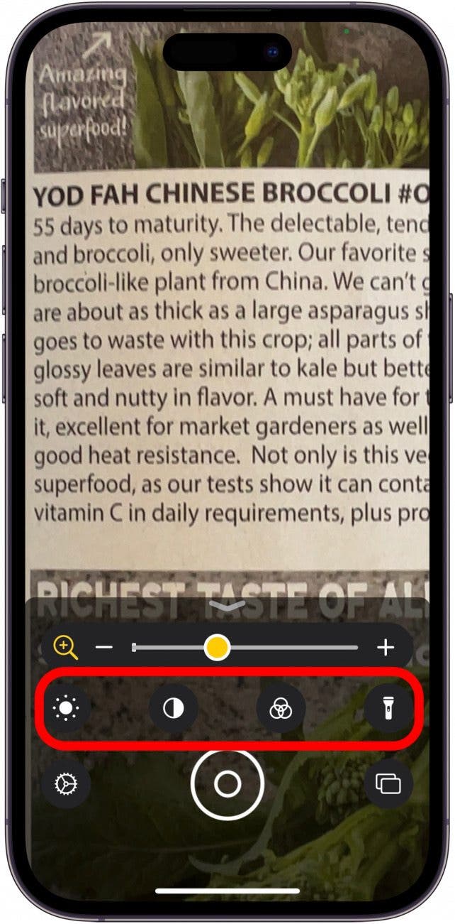 iphone magnifier options