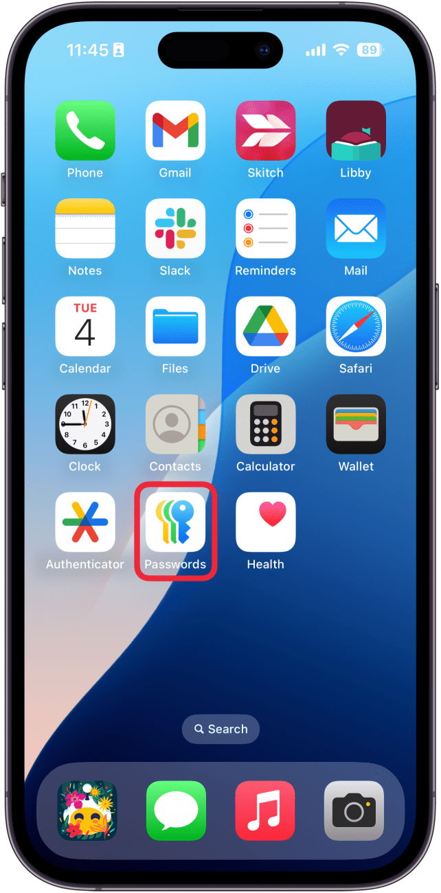 iphone home screen with a red box around passwords app