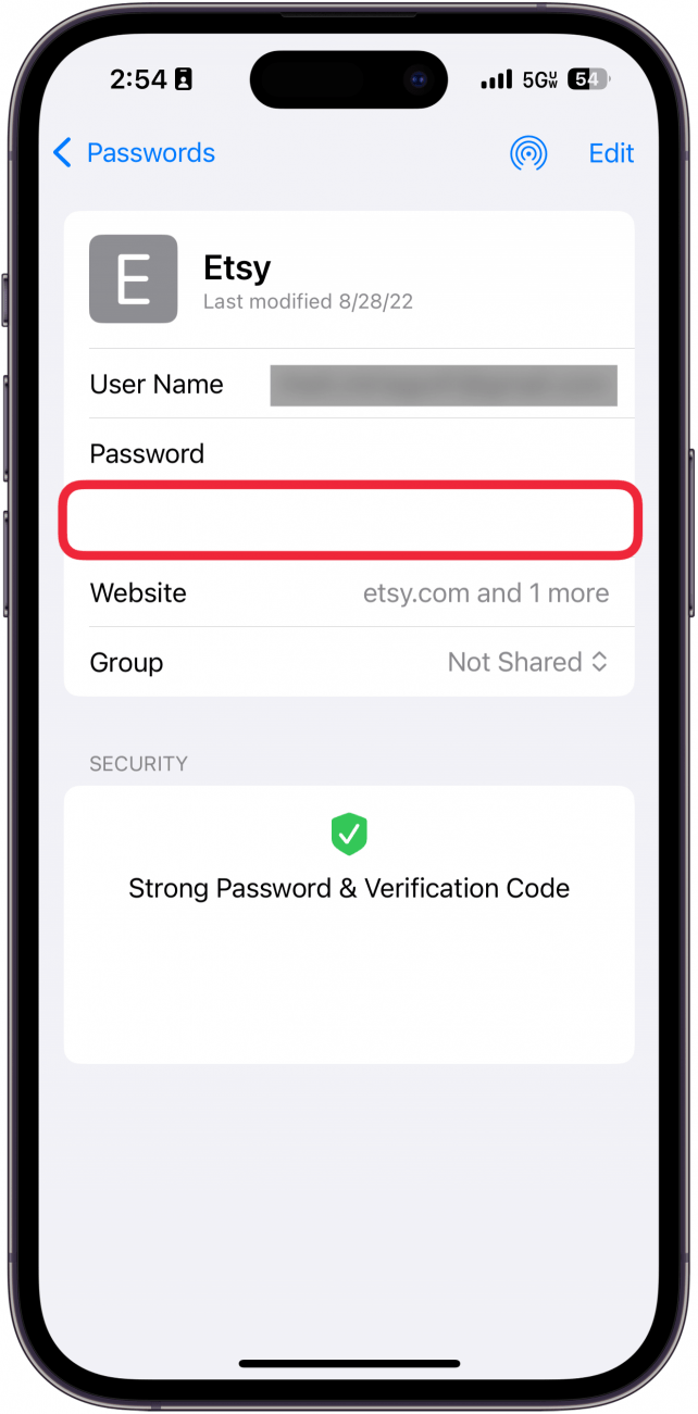 iphone passwords screen displaying etsy account information with a red box around verification code