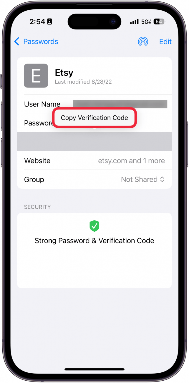 iphone passwords screen displaying etsy account information with a red box around copy verification code