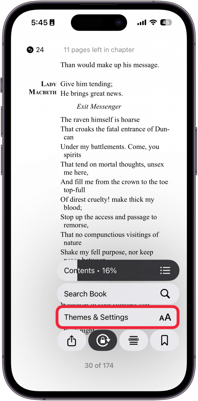 a screenshot of apple books menu with themes and settings button circled in red