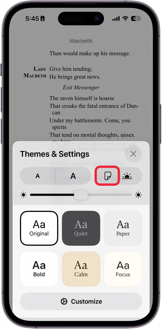 a screenshot of apple books themes and settings menu with page icon circled in red