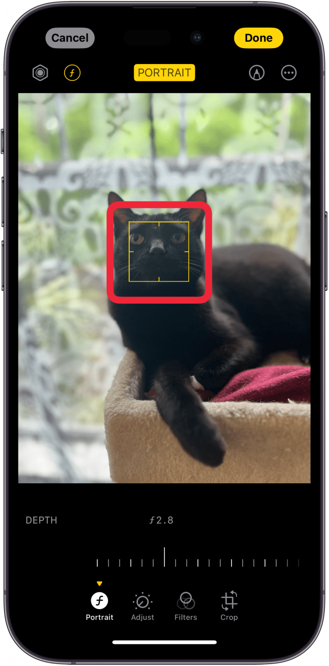 iphone photo editor with a red box around yellow focus area square