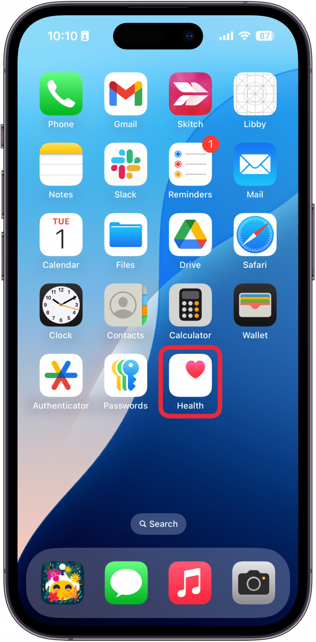 iphone home screen with a red box around the health app