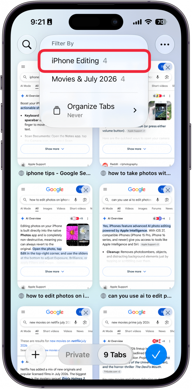 a screenshot of the tabs screen in safari on iphone displaying a menu of tab categories with a red box around a category titled iphone editing