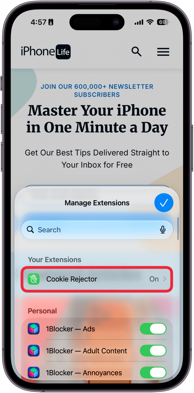 a screenshot of safari on iphone displaying a list of extensions with a red box around a user created extension