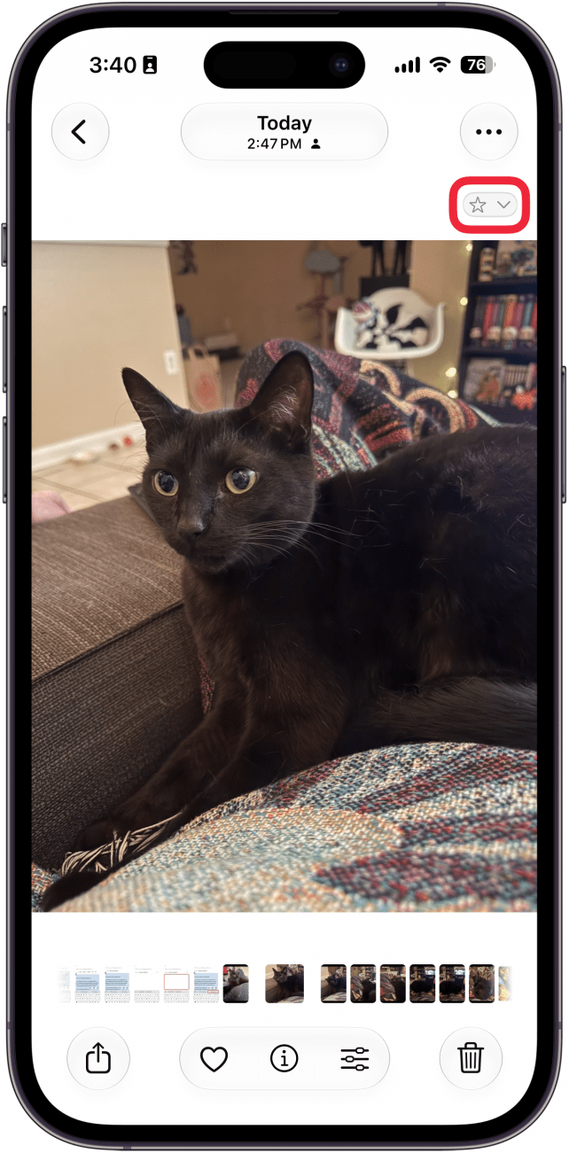 a screenshot of the photos app on iphone displaying a photo of a cat with a red box around the star rating icon in the upper right