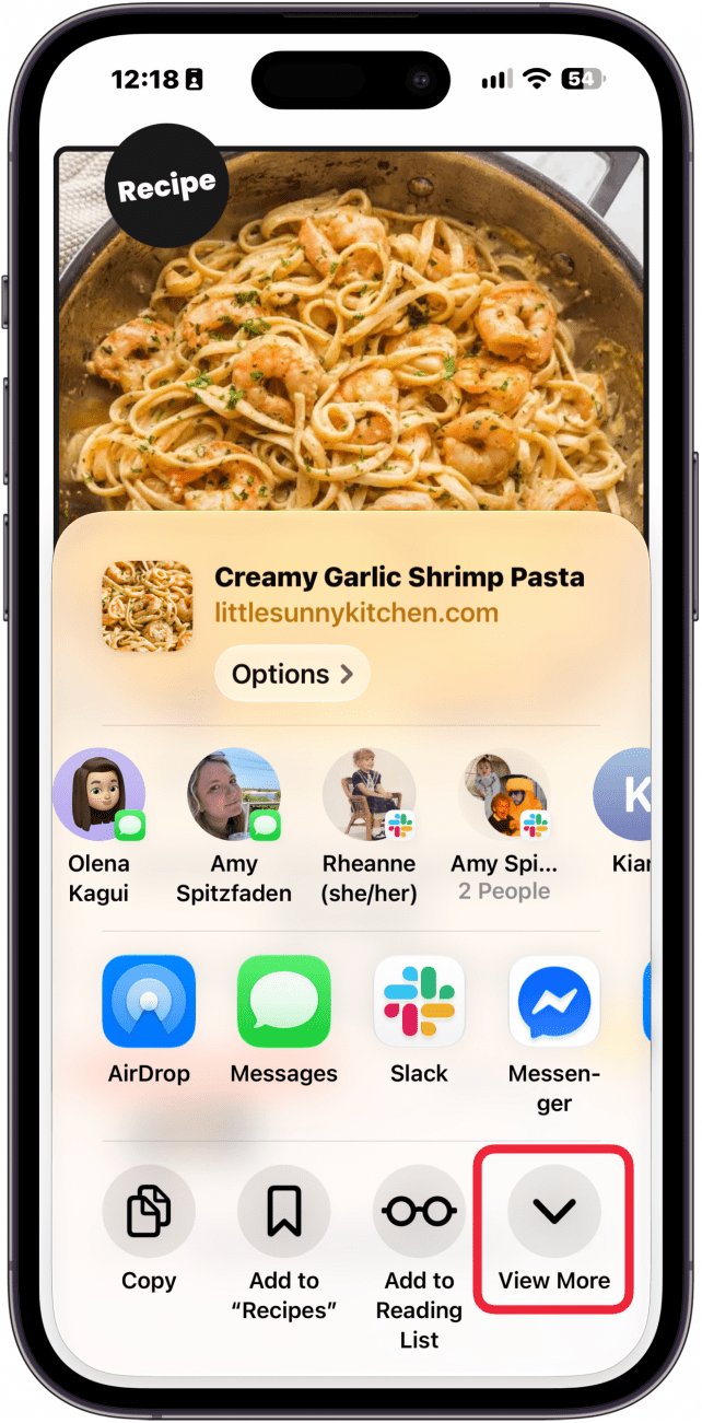 a screenshot of safari on iphone displaying the share sheet with a red box around the view more button