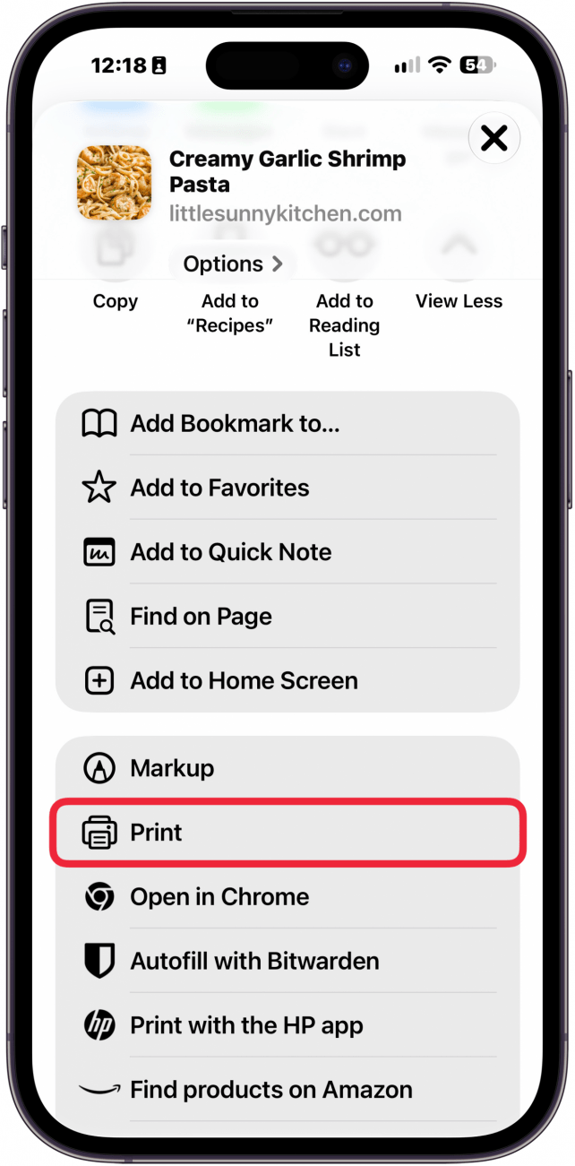 a screenshot of the share sheet on iphone with a red box around the print button