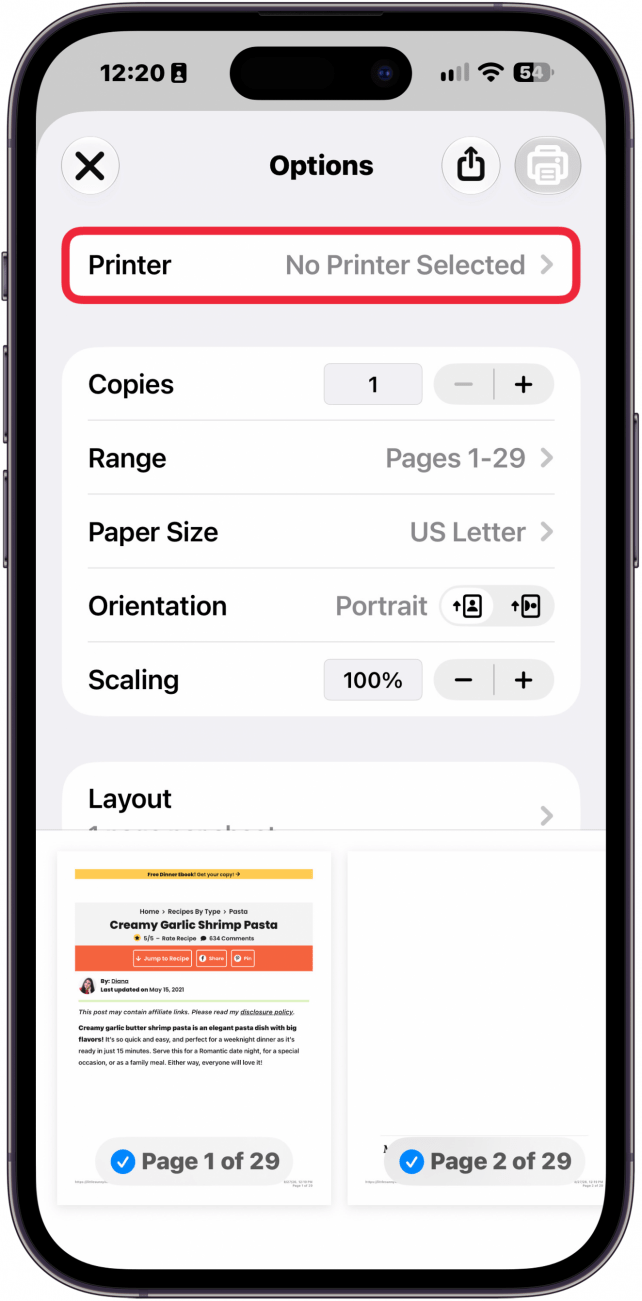 a screenshot of printing options on iphone with a red box around the printer button