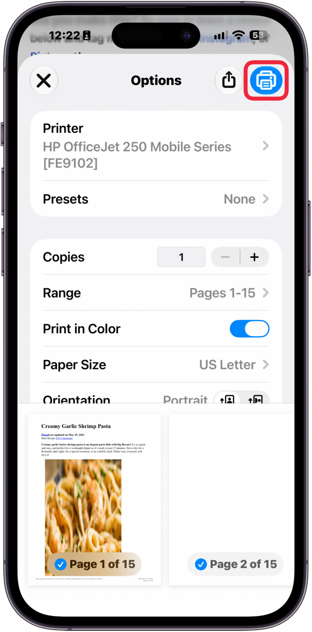 a screenshot of printer options on iphone with a red box around the print button