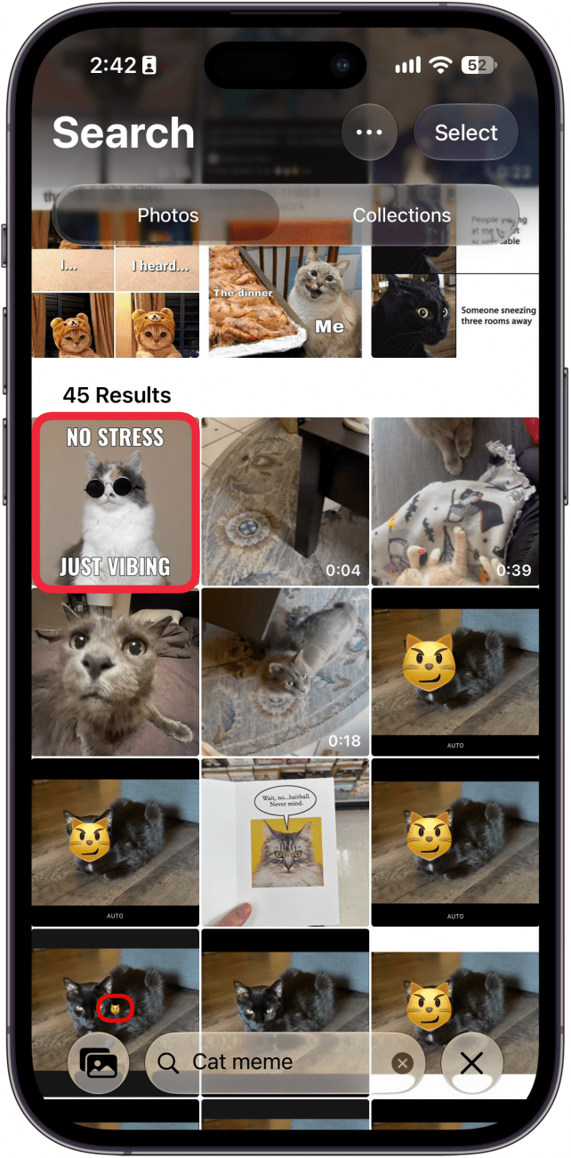a screenshot of search results in the photos app with a red box around a photo that matches the search query for cat meme
