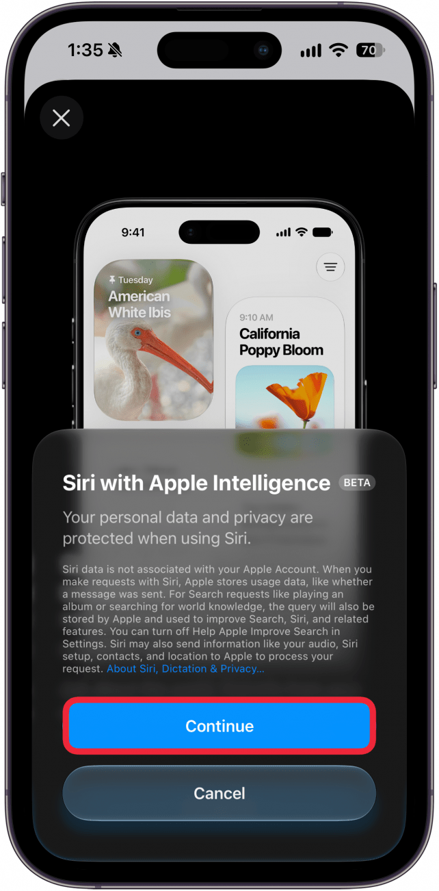 a screenshot of the siri ai setup on iphone with a red box around the continue button