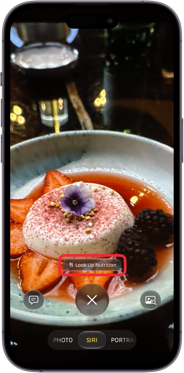 a screenshot of visual intelligence scanning a fruity dessert with a red box around a look up nutrition button