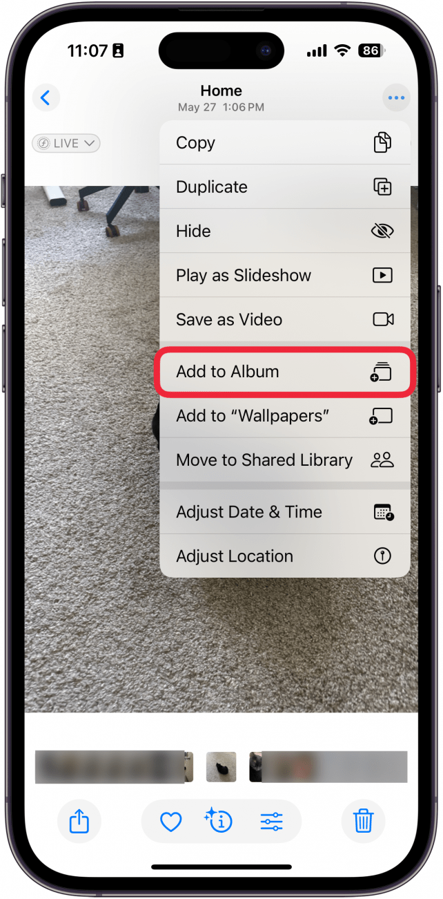 a screenshot of the iphone photos app displaying a photo of a cat with an additional menu open and a red box around the add to album button
