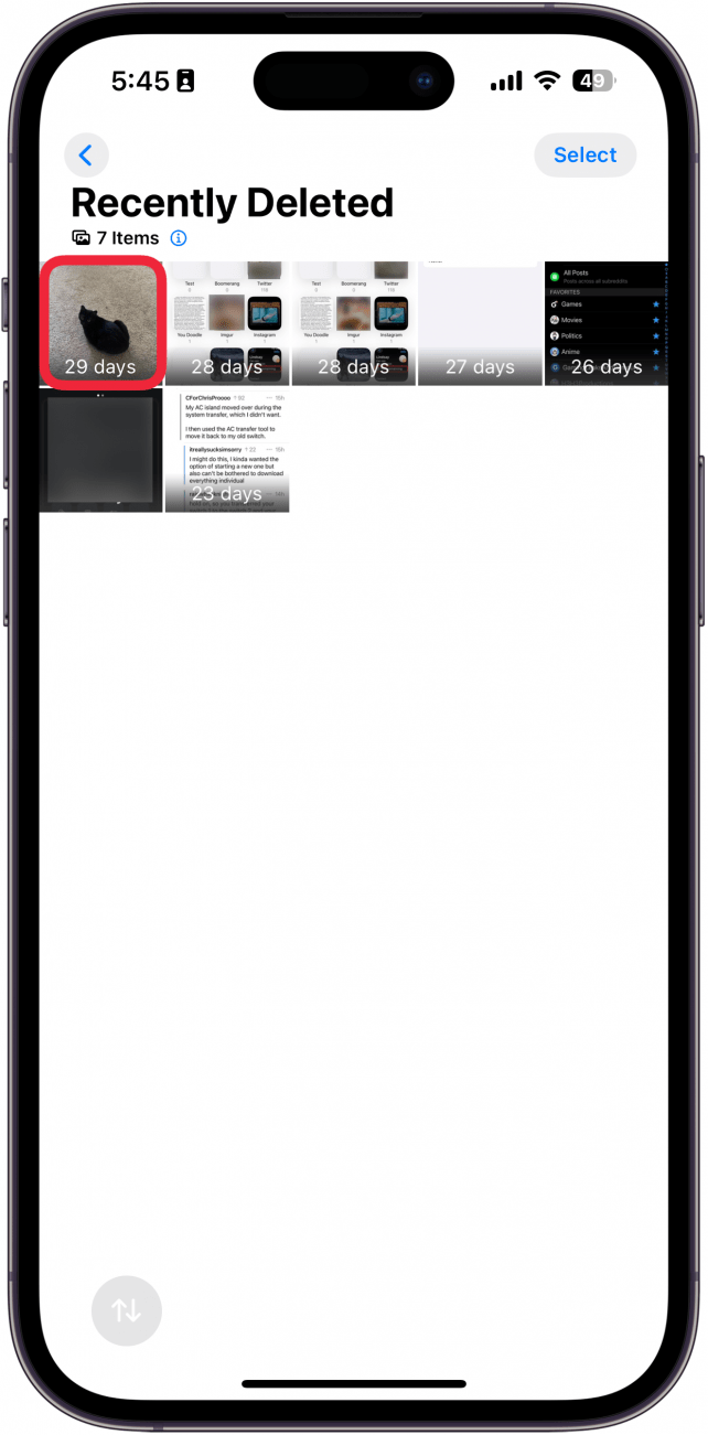 screenshot of the iphone photos app recently deleted folder with a red box around a photo of a cat