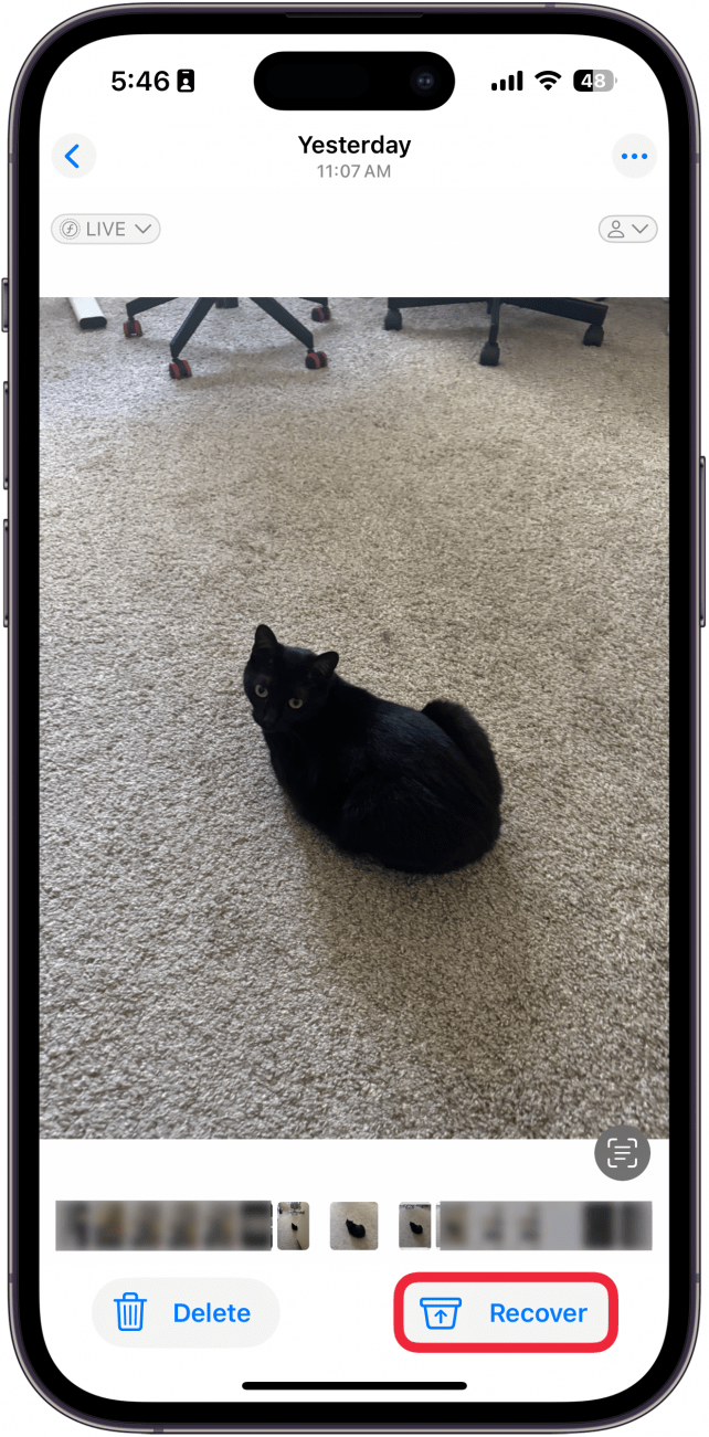 screenshot of the iphone photos app recently deleted folder displaying a photo of a cat with a red box around the recover button
