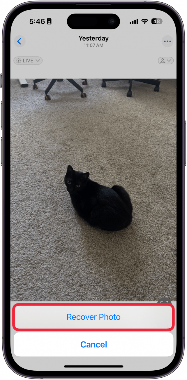 screenshot of the iphone photos app recently deleted folder displaying a photo of a cat and a prompt asking to recover the photo, with a red box around the recover button