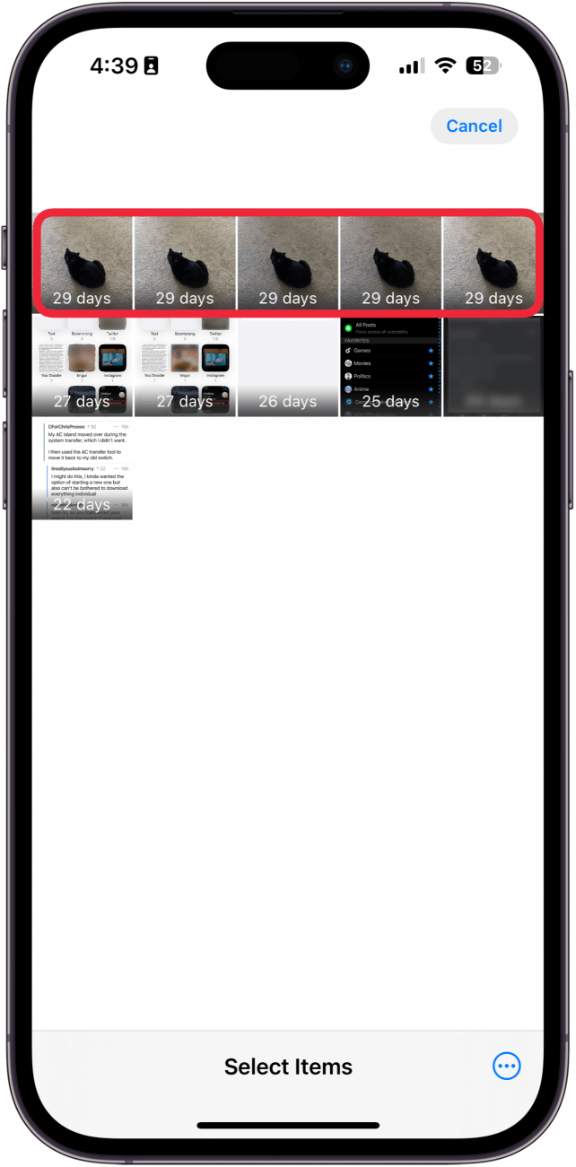 screenshot of the iphone photos app recently deleted folder with a red box around multiple photos of a cat