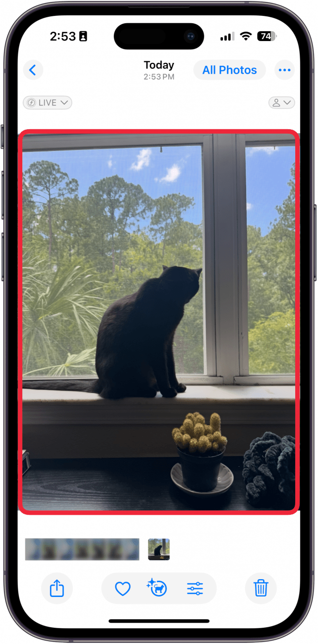 a screenshot of the iphone photos app displaying the most recent photo with a red box around the photo